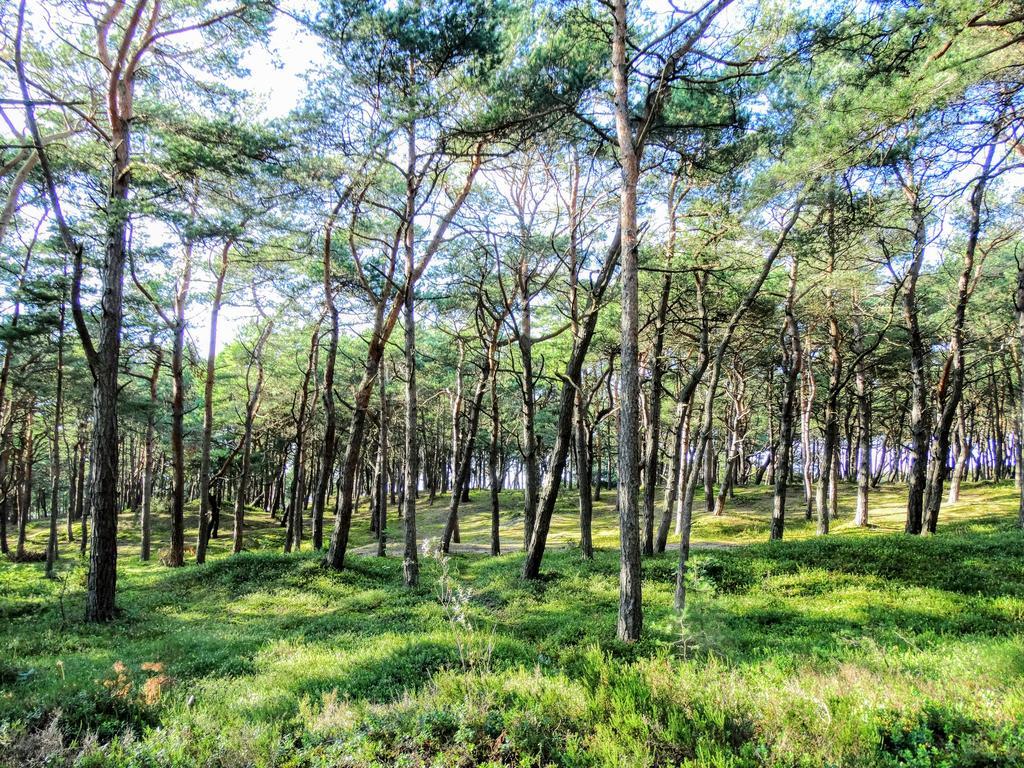 Domek Letniskowy Grazyna Villa Kopalino Bagian luar foto